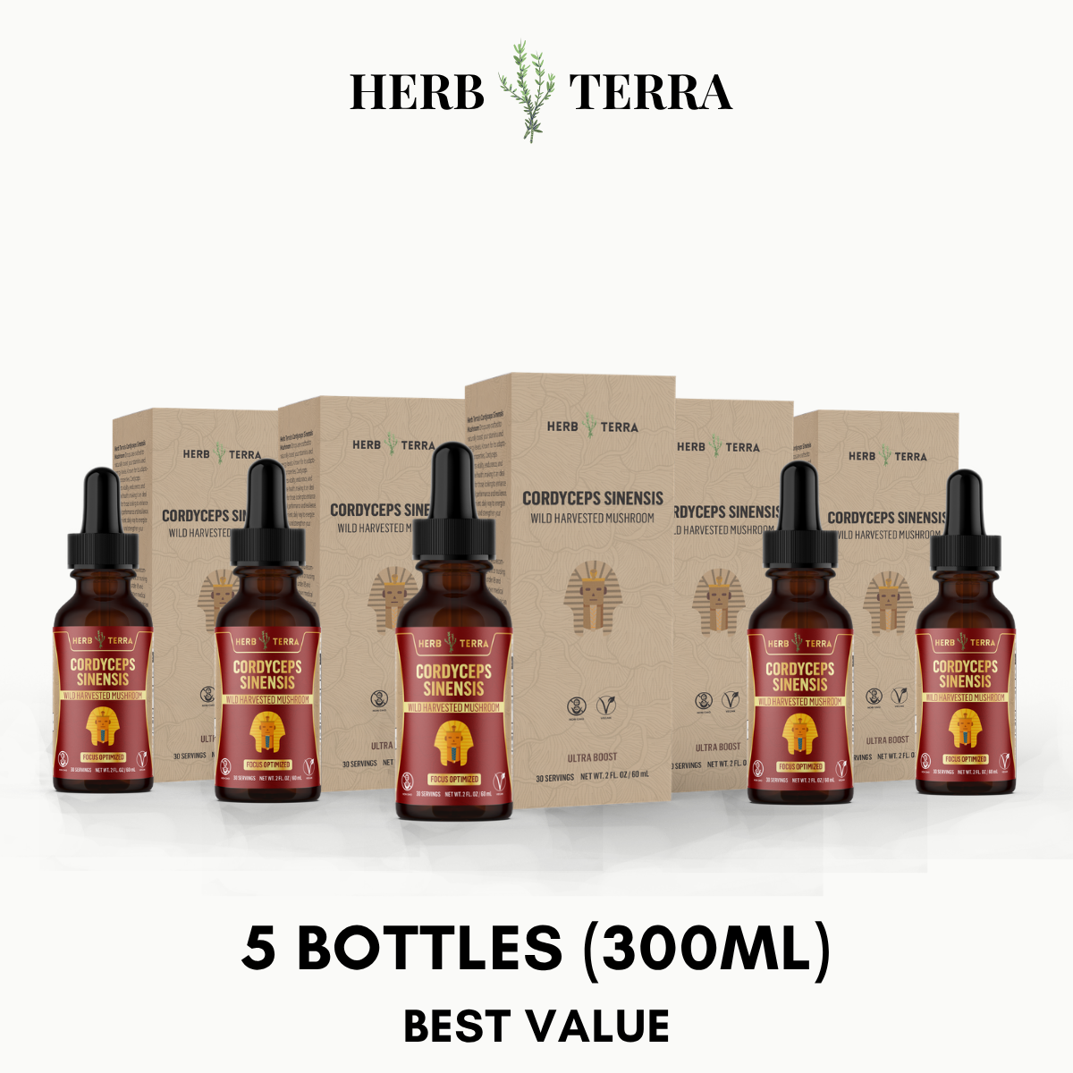 Cordyceps Mushroom Drops – 5 Bottles