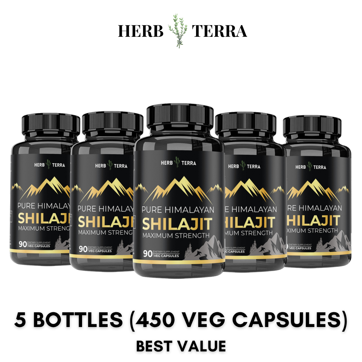 Himalayan Shilajit Capsules – 5 Bottles