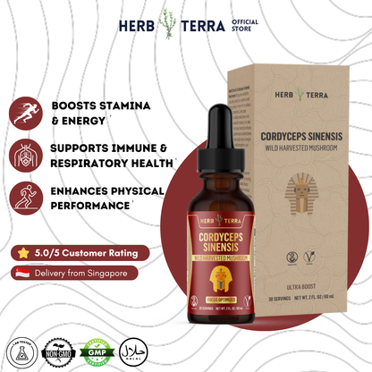 Cordyceps Mushroom Drops – image 2