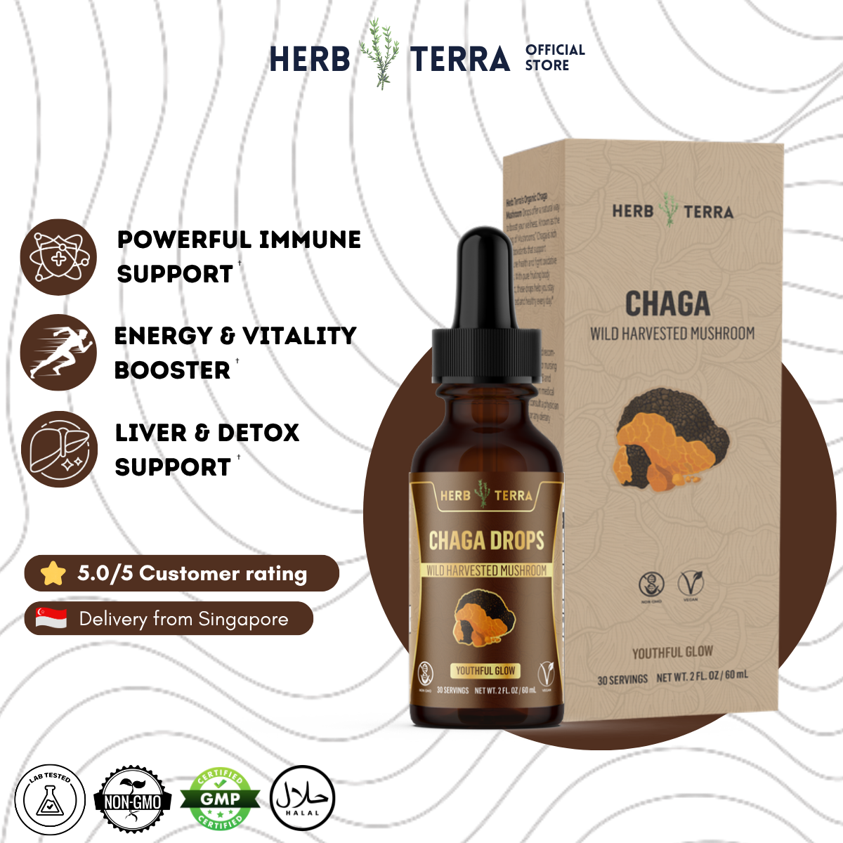 Chaga Mushroom Drops – image 2
