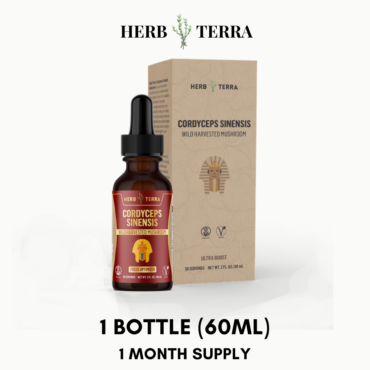Cordyceps Mushroom Drops – 1 Bottle