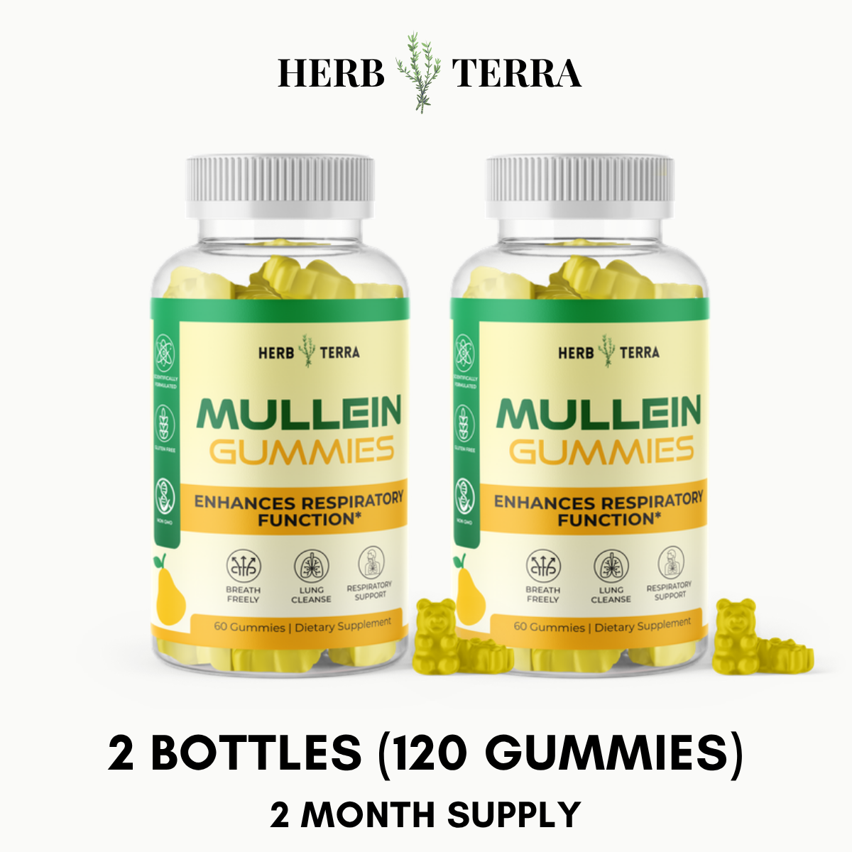 Mullein Leaf & Honey Gummy – 2 Bottles
