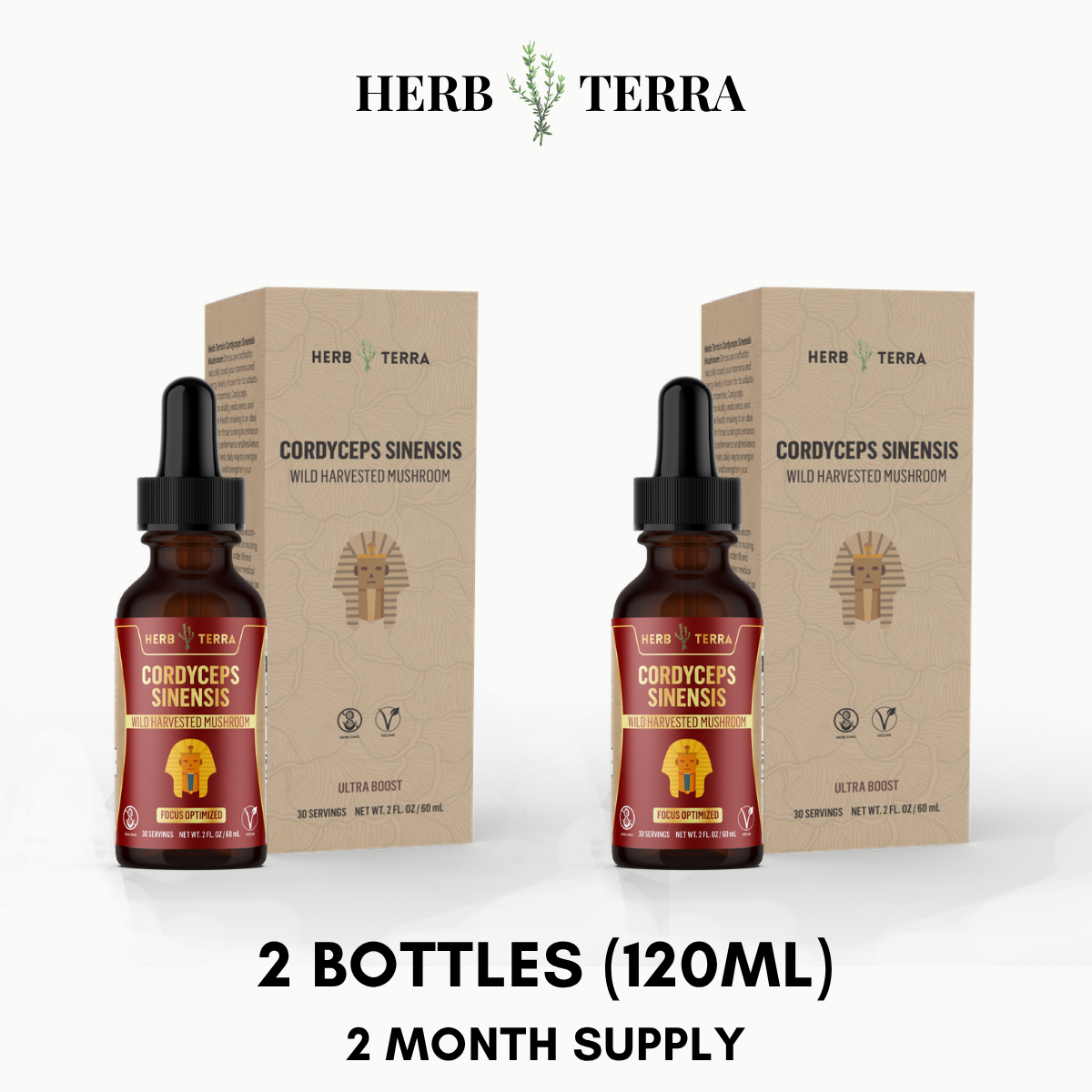 Cordyceps Mushroom Drops – 2 Bottles