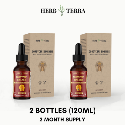 Cordyceps Mushroom Drops – 2 Bottles