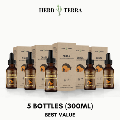 Chaga Mushroom Drops – 5 Bottles
