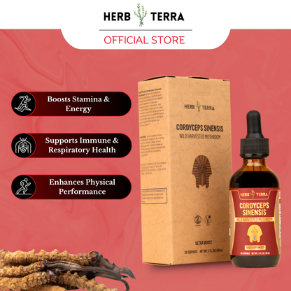 Cordyceps Mushroom Drops – image 3