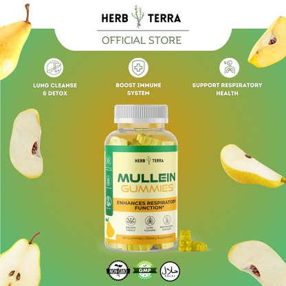 Mullein Leaf & Honey Gummy – image 3