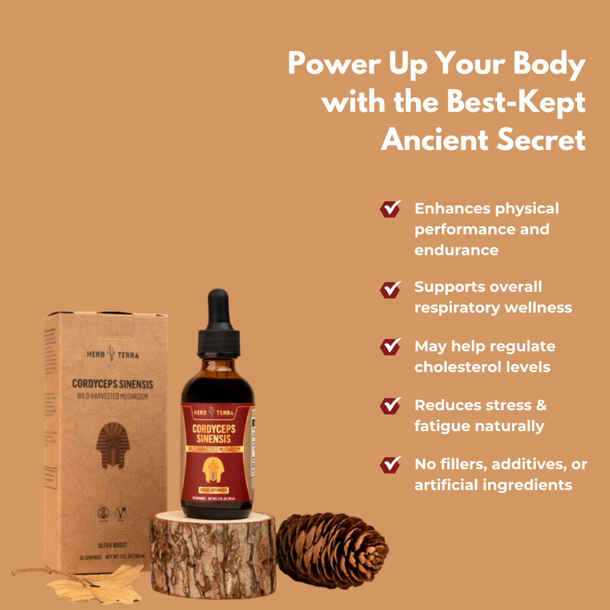 Cordyceps Mushroom Drops – image 4