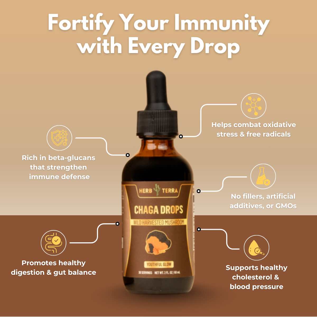 Chaga Mushroom Drops – image 4