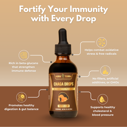 Chaga Mushroom Drops – image 4