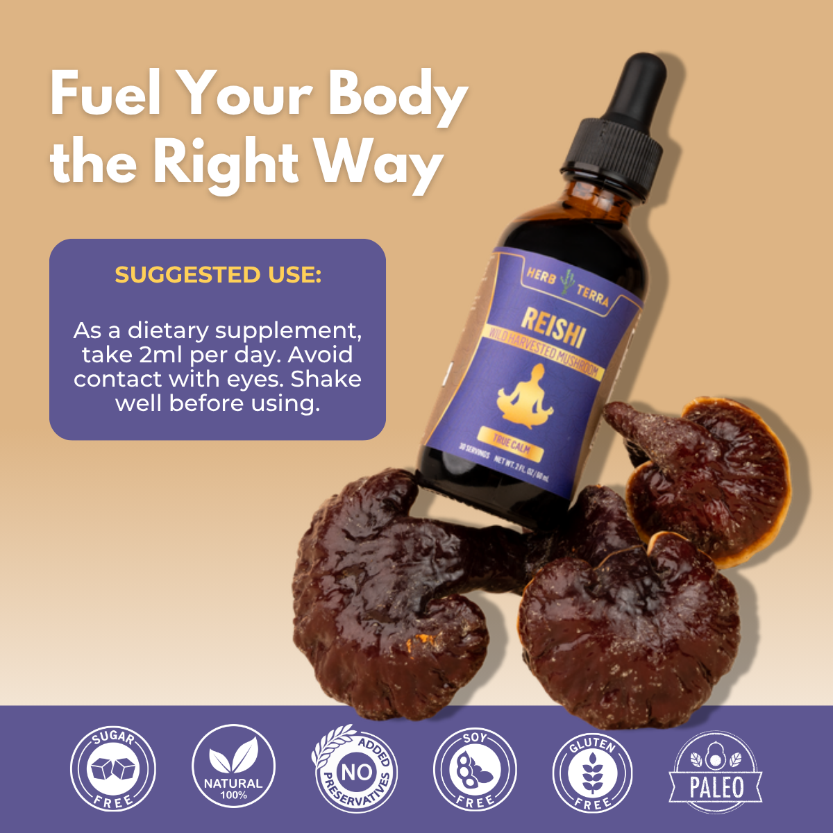 Reishi Mushroom Drops – image 4