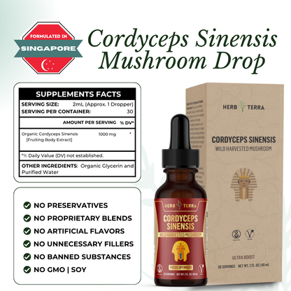 Cordyceps Mushroom Drops – image 6