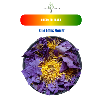 Premium Egyptian Blue Lotus Flower – image 3
