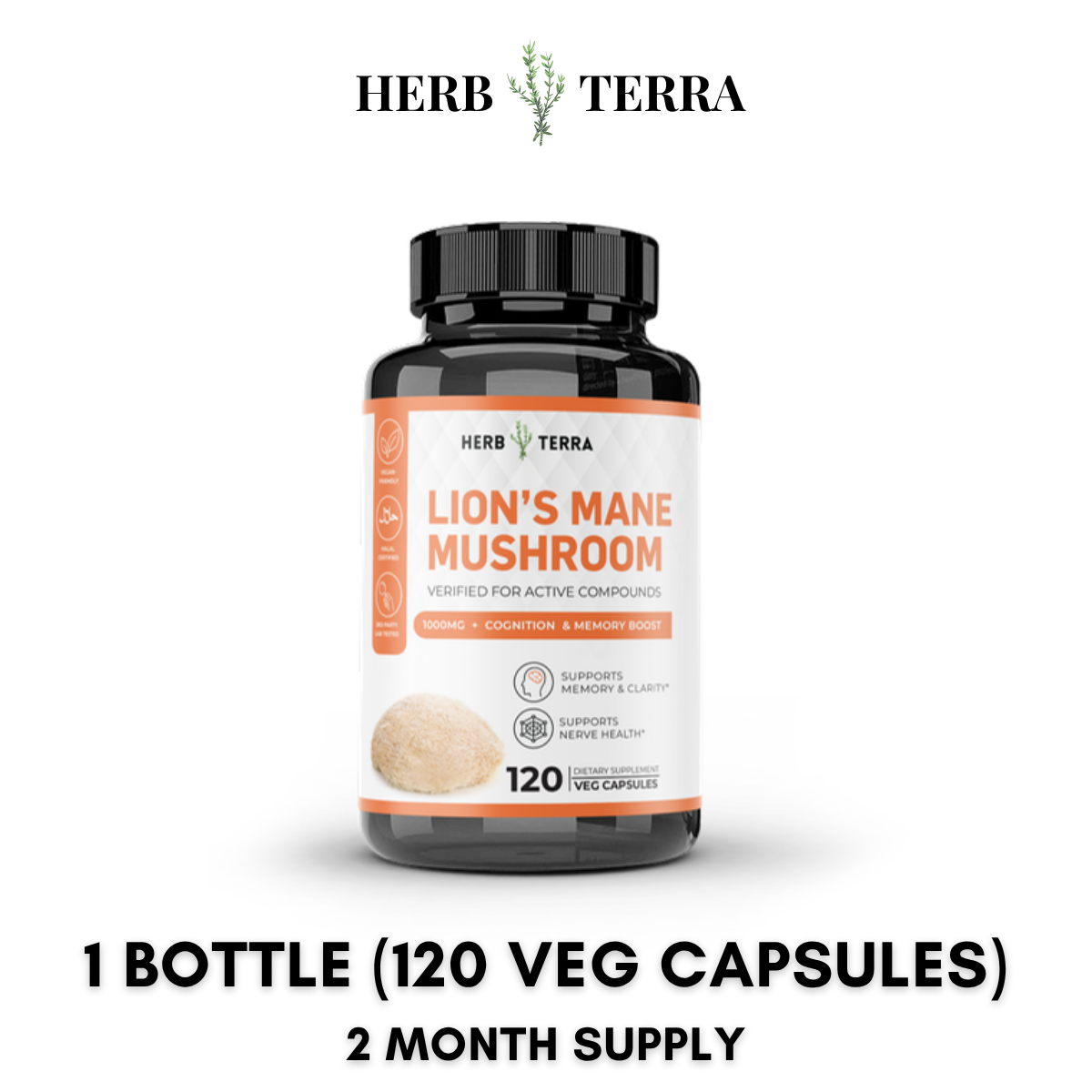 Lion’s Mane Mushroom Cognition – 1 Bottle