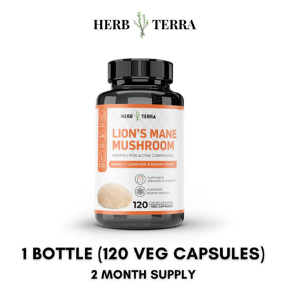 Lion’s Mane Mushroom Cognition – 1 Bottle