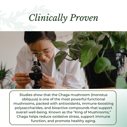 Chaga Mushroom Drops – image 7
