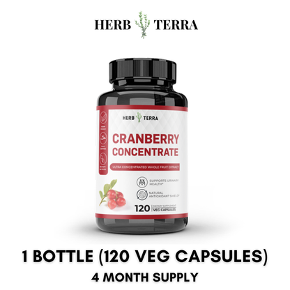 Cranberry Extract – 1 Bottle