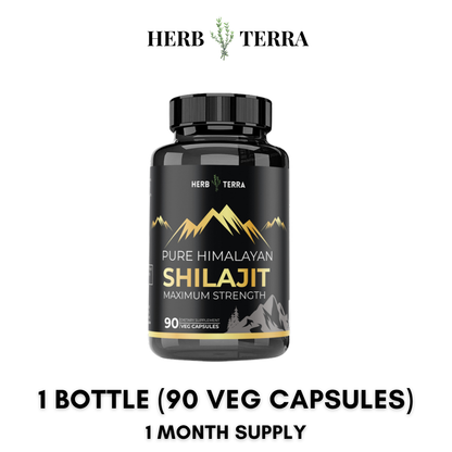 Himalayan Shilajit Capsules – 1 Bottle