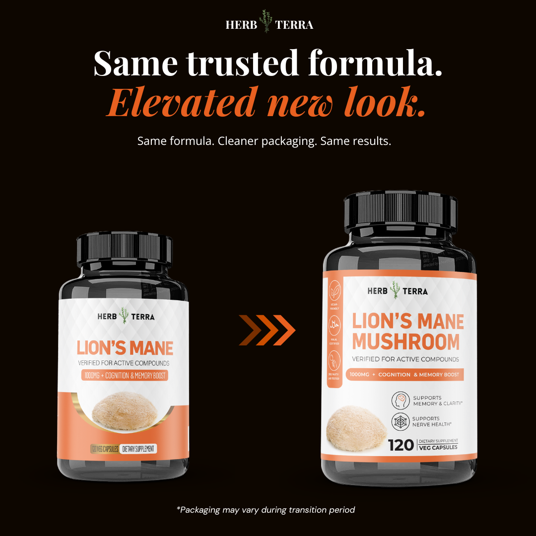Lion’s Mane Mushroom Cognition | Brain Clarity | 120 Capsules