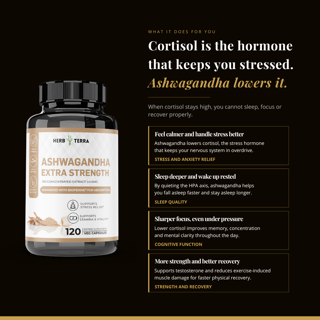 Ashwagandha Capsules 1450mg - Stress Support & Daily Calm