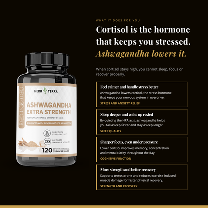 Ashwagandha Capsules 1450mg - Stress Support & Daily Calm