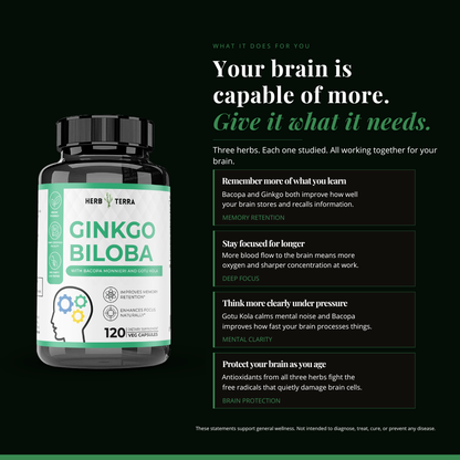 Ginkgo Biloba Brain - Memory Formula - 120 Vegan Capsules