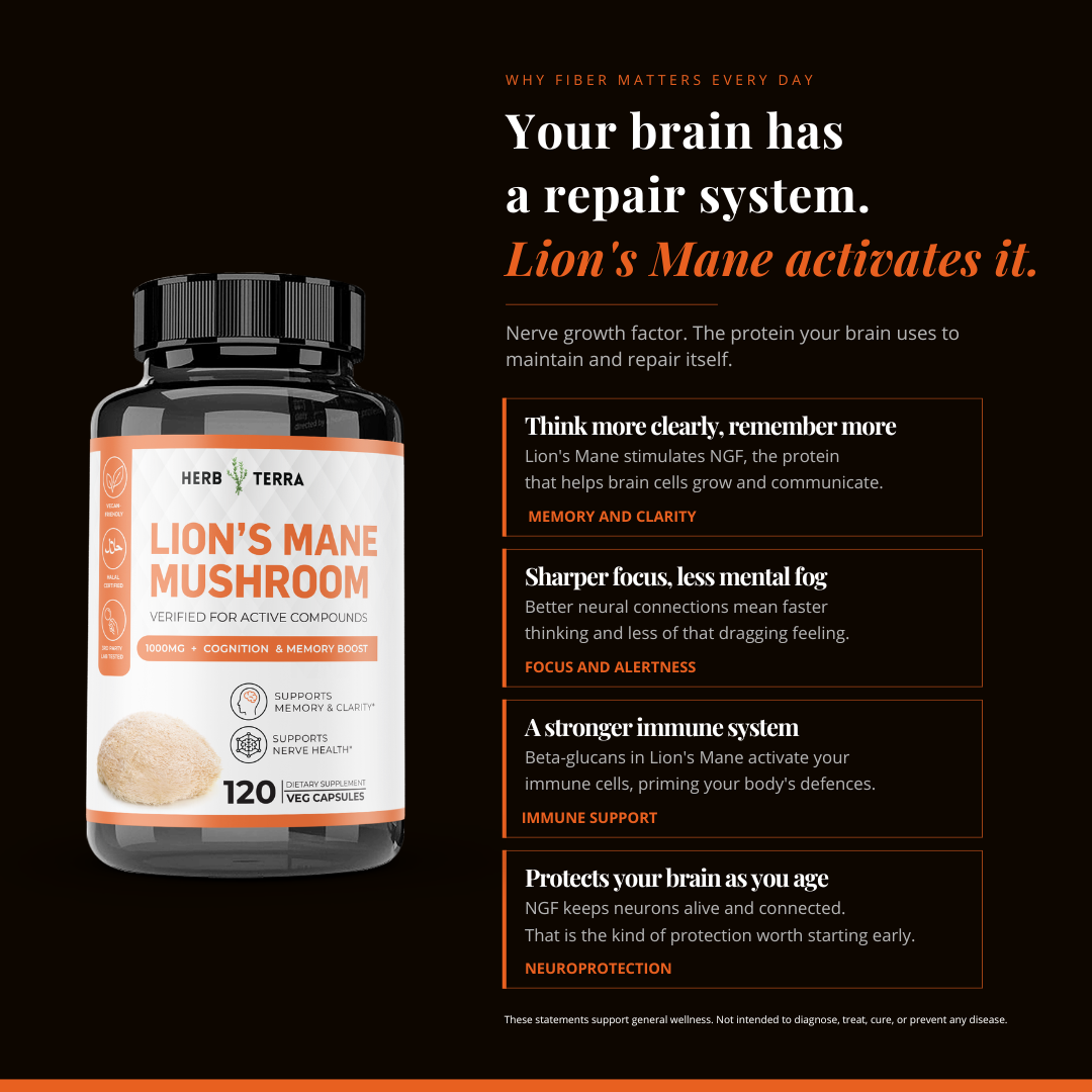Lion’s Mane Mushroom Cognition | Brain Clarity | 120 Capsules