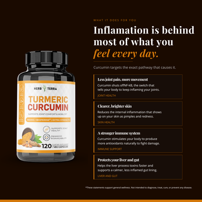 [Bundle of 3] Herb Terra Turmeric Curcumin  - Joint, Inflammation & Antioxidant Support (3 x 120 capsules)