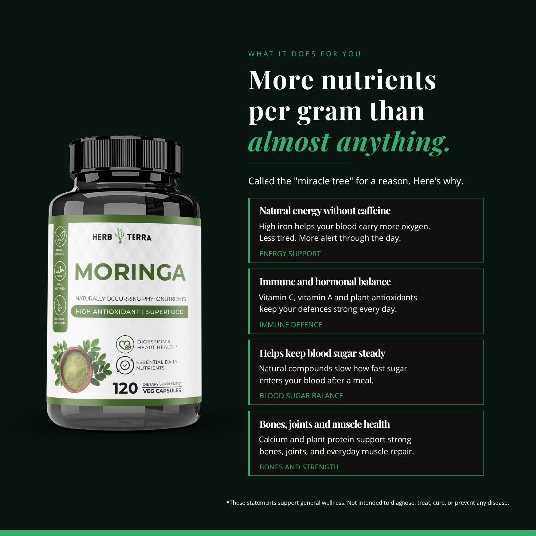 [Bundle of 3] Herb Terra Moringa Leaf 1000mg - Superfood Energy, Skin & Blood Sugar Support