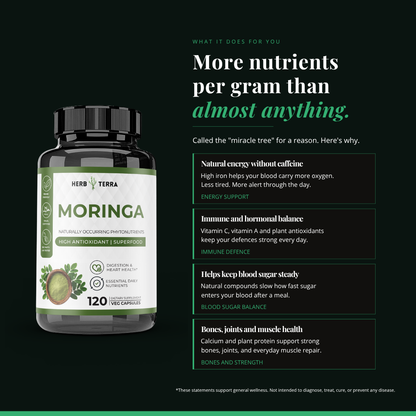 [Bundle of 3] Herb Terra Moringa Leaf 1000mg - Superfood Energy, Skin & Blood Sugar Support
