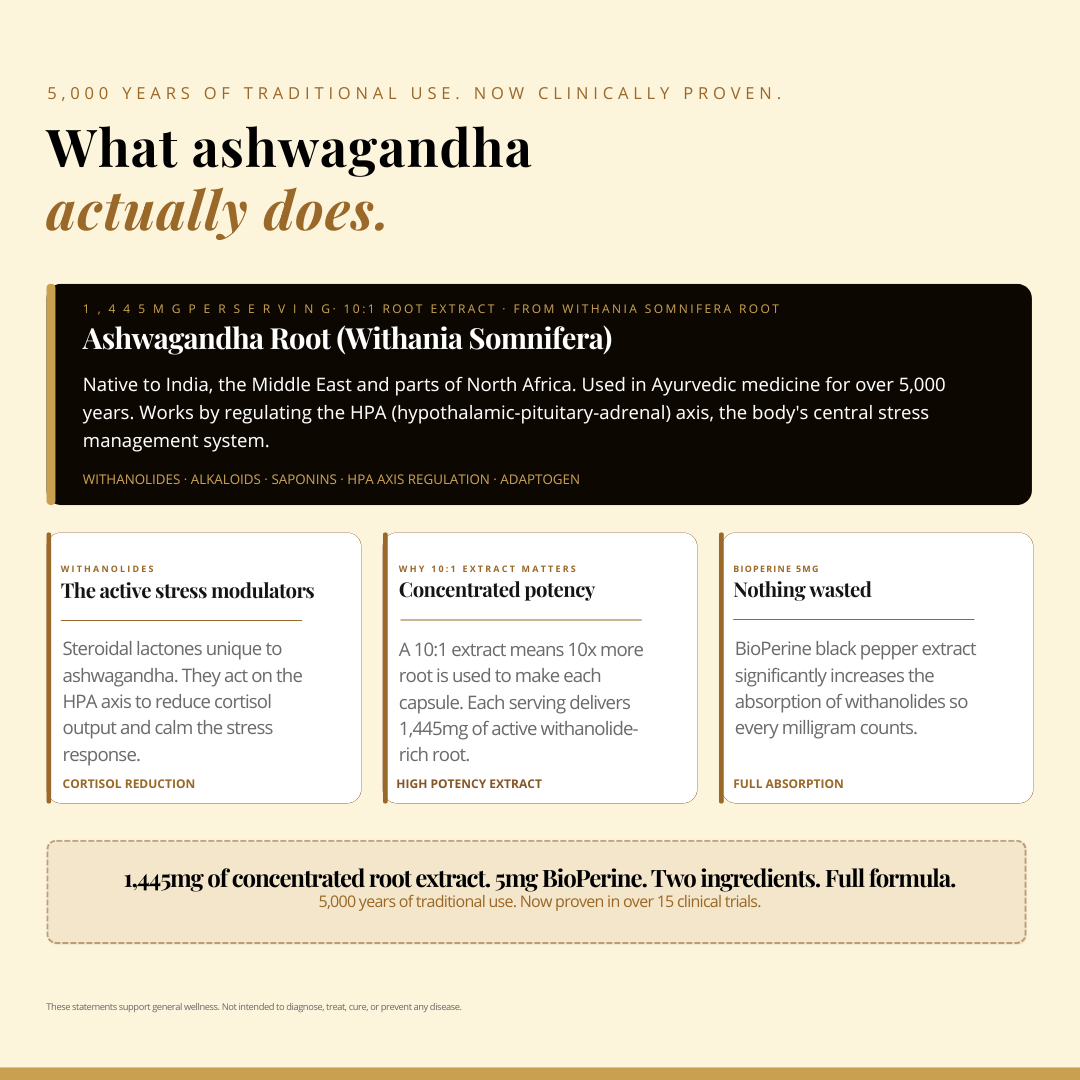 Ashwagandha Capsules 1450mg - Stress Support & Daily Calm