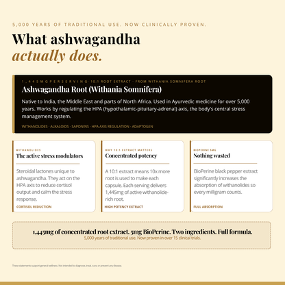 Ashwagandha Capsules 1450mg - Stress Support & Daily Calm