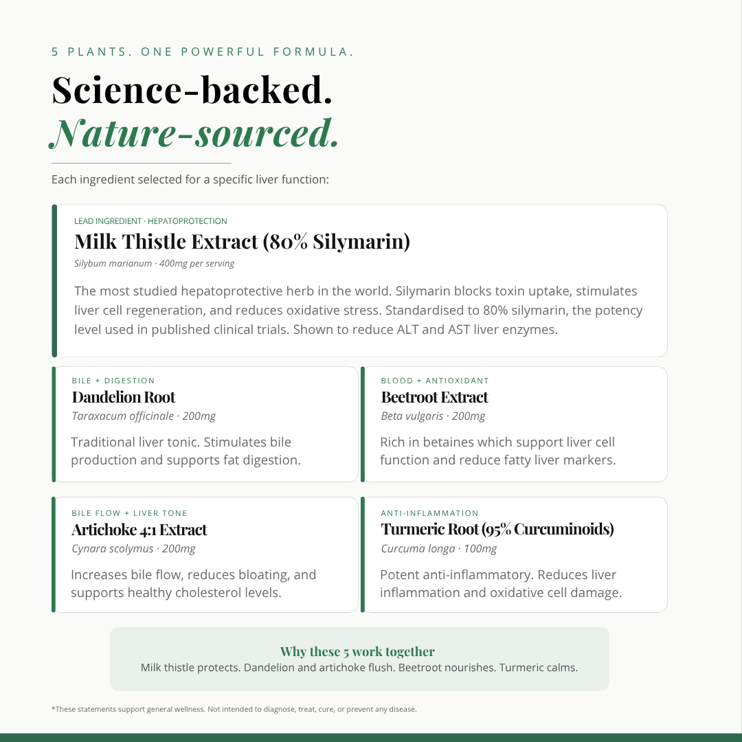 Liver Support+ | 120 Veg Capsules | Advanced Liver Support Formula