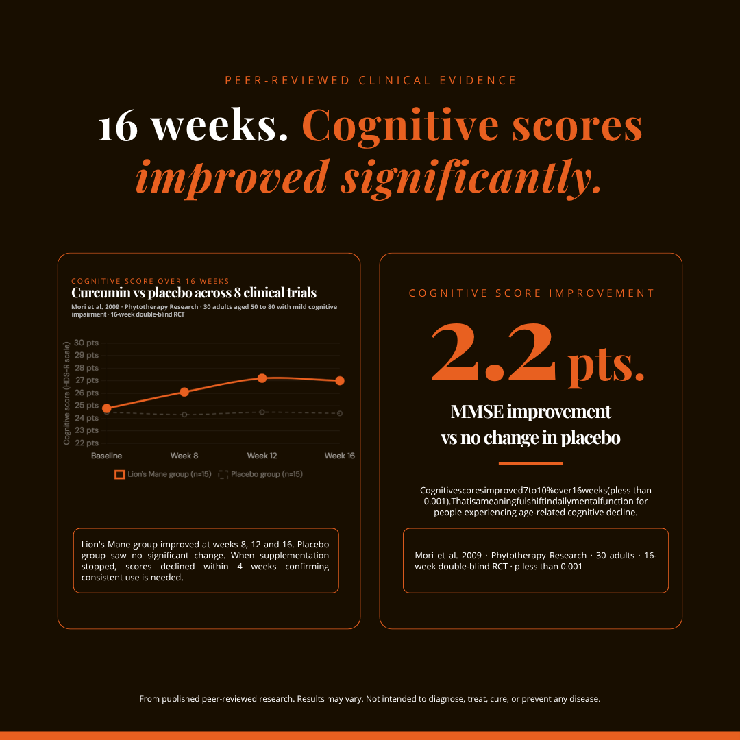 Lion’s Mane Mushroom Cognition | Brain Clarity | 120 Capsules