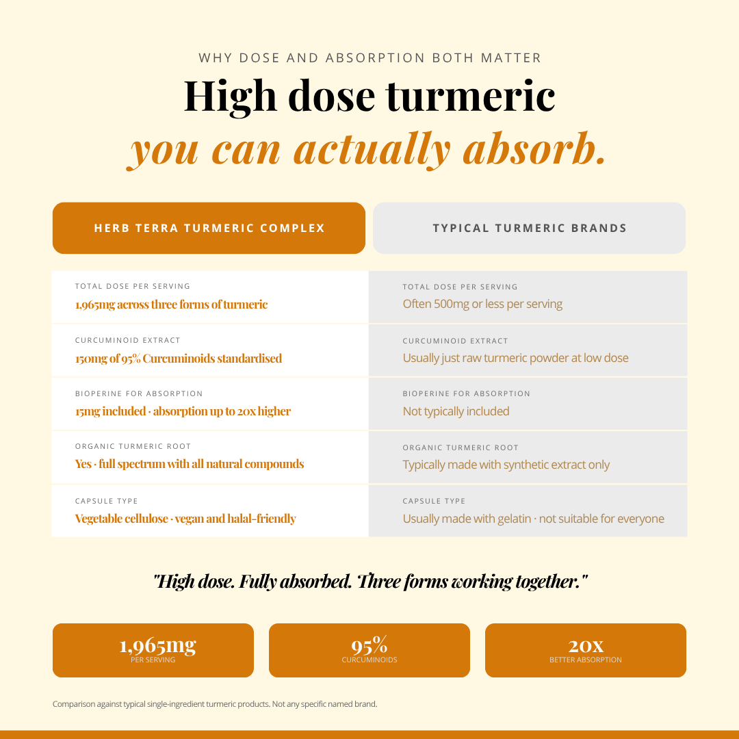 [Bundle of 3] Herb Terra Turmeric Curcumin  - Joint, Inflammation & Antioxidant Support (3 x 120 capsules)