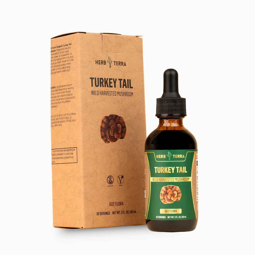 Turkey Tail Mushroom Drops