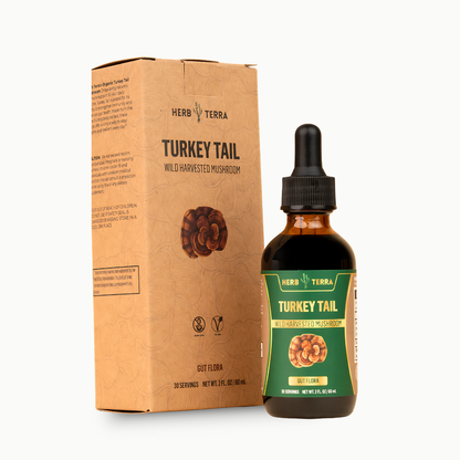 Turkey Tail Mushroom Drops