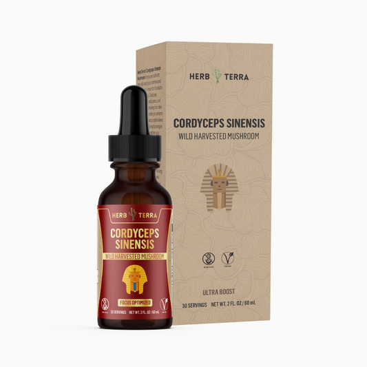 Cordyceps Mushroom Drops