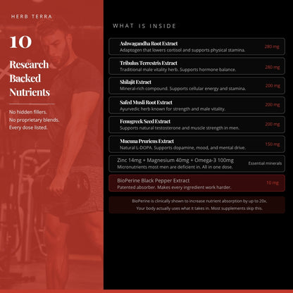 Alpha Male Max | 80 Capsules | Elite Performance Complex