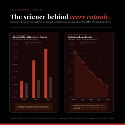 Alpha Male Max | 80 Capsules | Elite Performance Complex