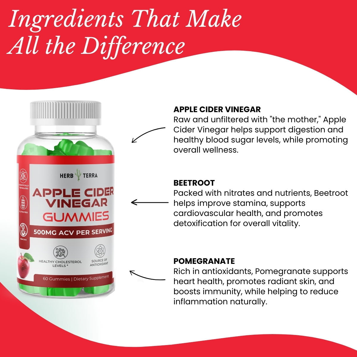 Apple Cider Vinegar Gummies with ACV
| Herb terra