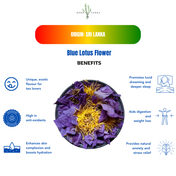 Blue Lotus Flower Benefits 
| Herb terra