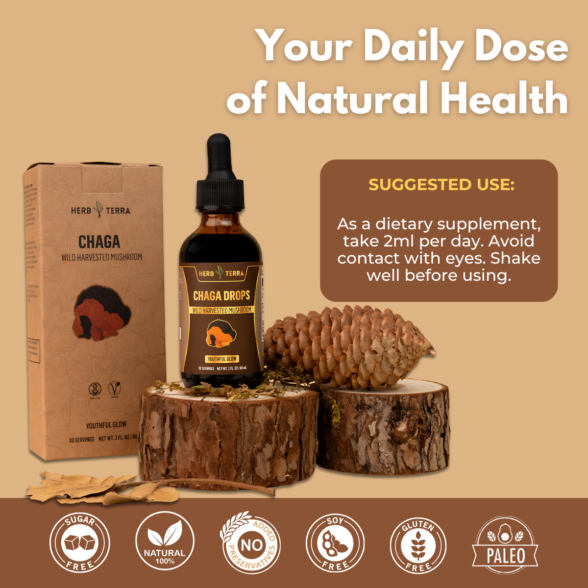 Herb Terra Chaga on beige background.
