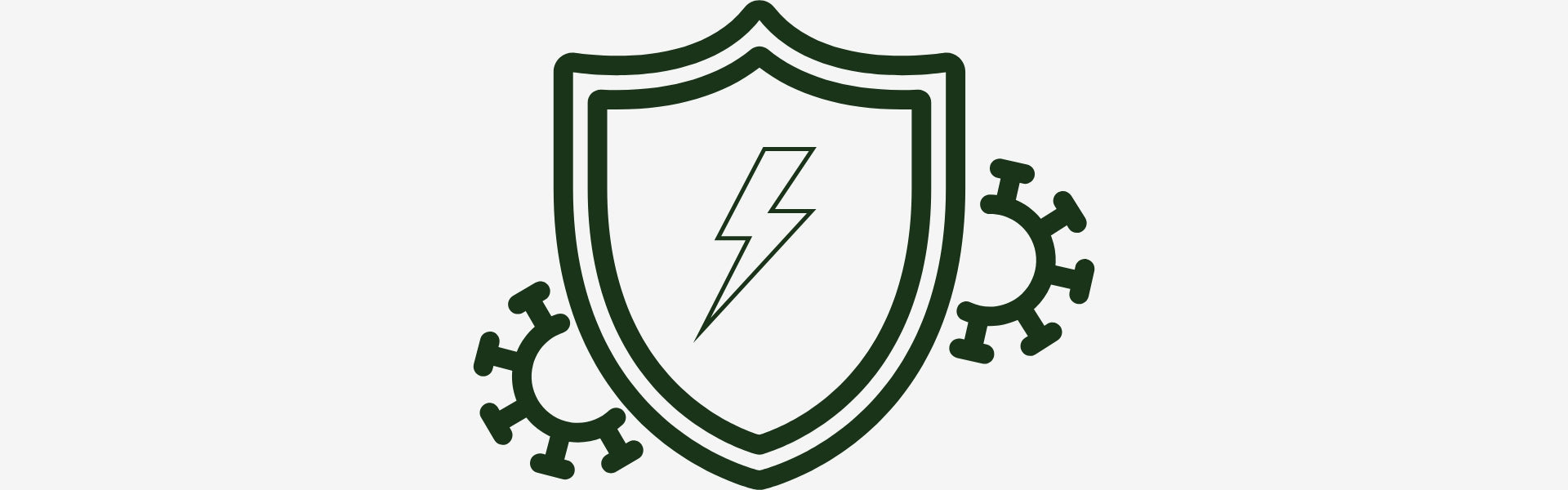 Shield icon with a lightning bolt and virus symbols on a white background