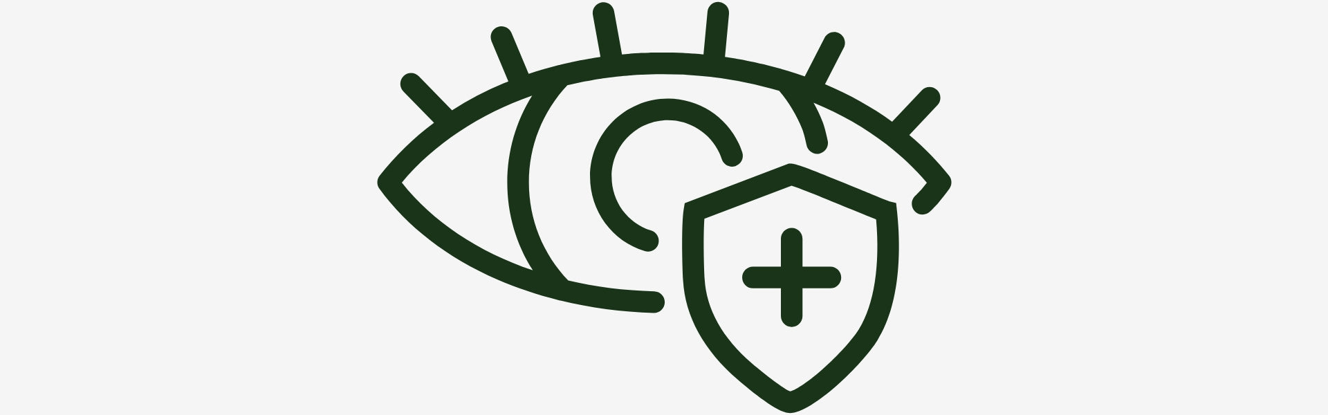 Icon of an eye and a shield with a plus sign, symbolizing protection or security.
