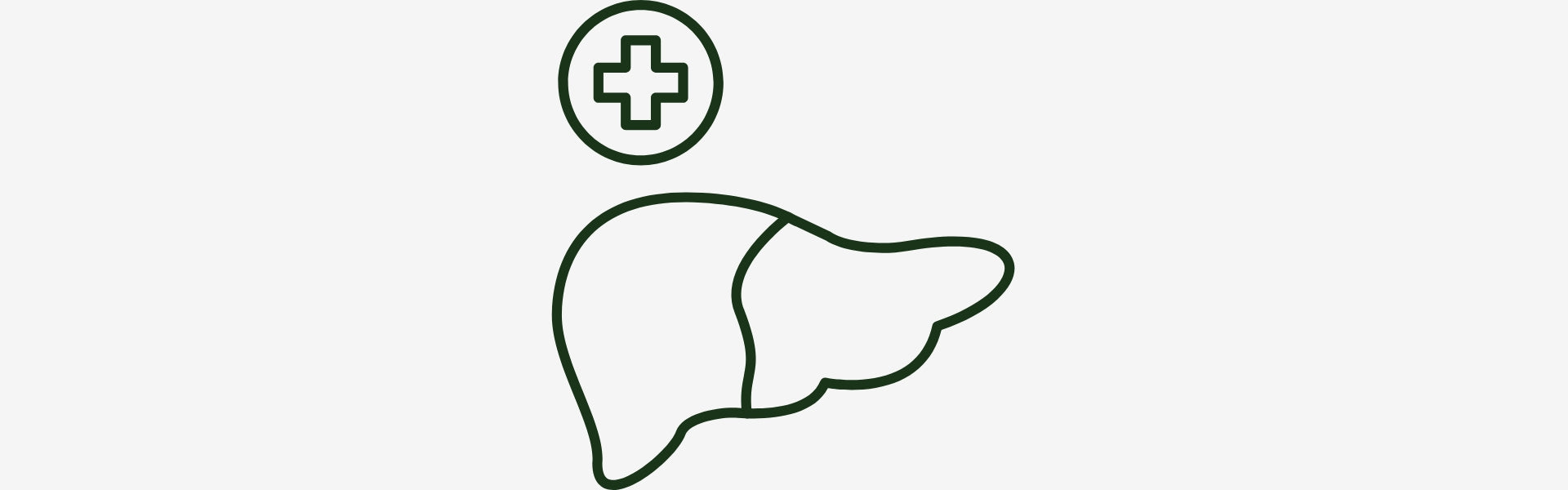 Outline of a liver with a cross symbol above it on a white background