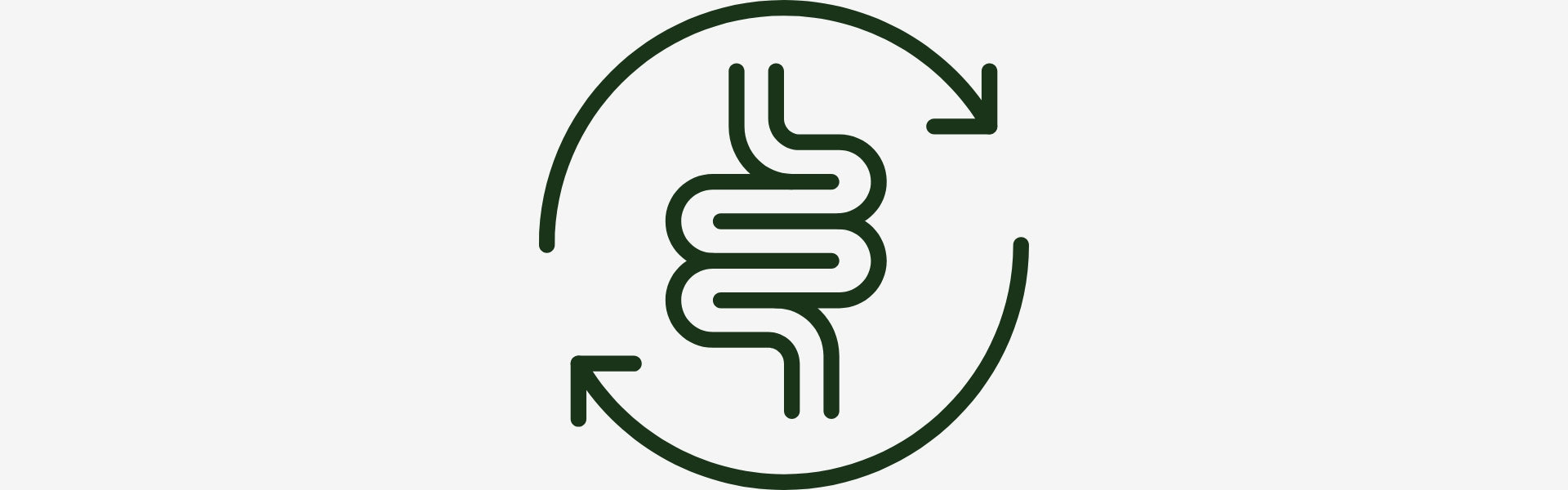 Icon of a digestive system with arrows inside a circle on a white background