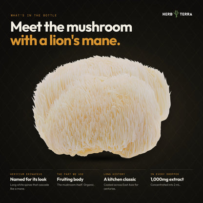 Lions Mane Mushroom Drops