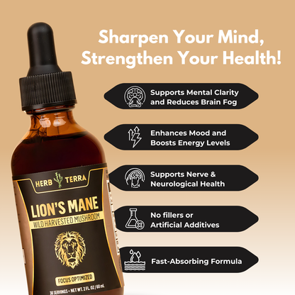 Lions Mane Mushroom Drops