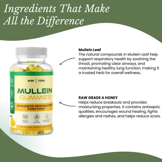 Mullein Gummies for Respiratory Health | Herb terra